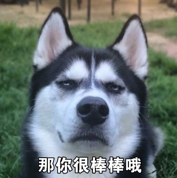 许跃（中文照片）